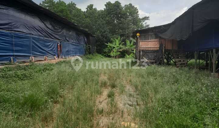 Jual Cepat / Murah Kandang Ayam di Cariu Bogor