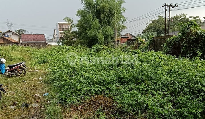 Land for Light Industry and Housing