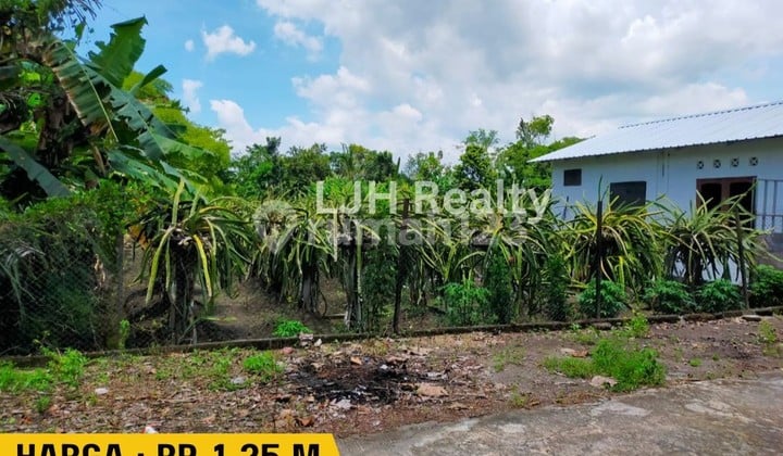 Land for Sale in Ganjuran