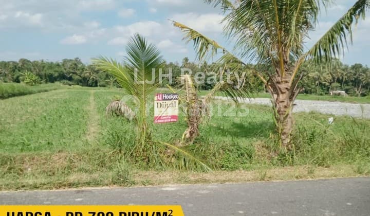 DiJual Tanah SAWAH