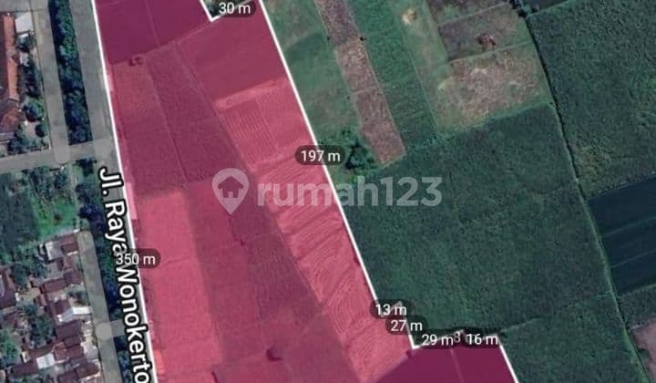 Ready-to-Build Land Suitable for Industry on Raya Wonokerto Road, Tekung, Lumajang