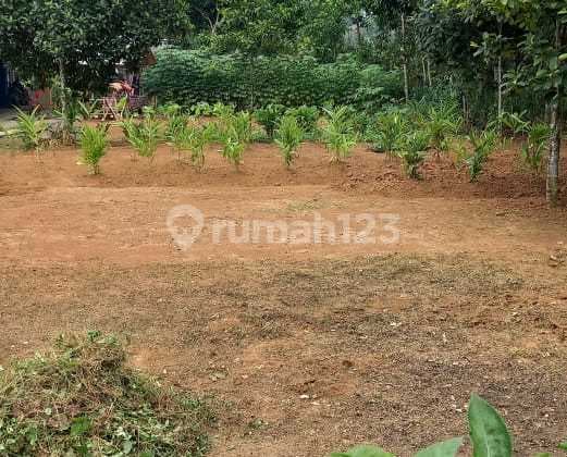 Kavling Cantik Dijual Di Sangiang Maja Lebak Banten