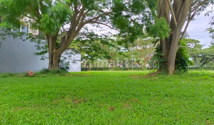 Tanah Kavling Jalur Utama di Danau Biru Alam Sutera