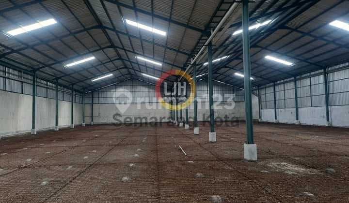 Warehouse in Noborejo