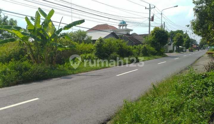 Tanah Luas 2000 M2 Shmp Dijual Jl Paris Tembi Sewon Bantul Jogja