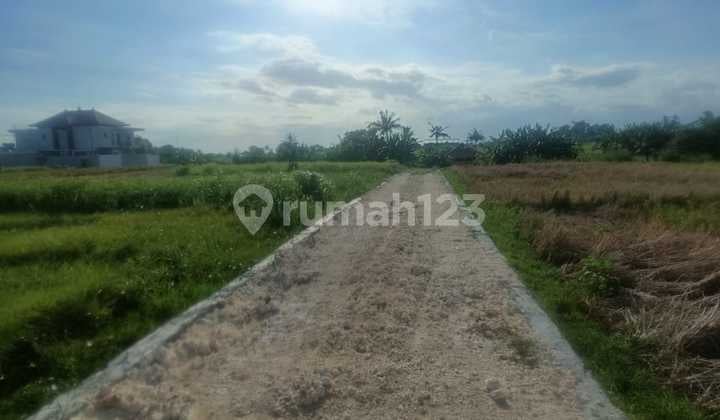 Dijual Segera Tanah Dekat Pantai Kedungu Bali