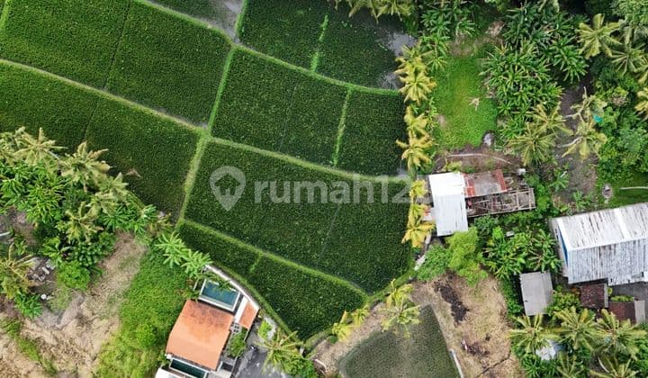 New Project Tanah Kavling Pantai Nyanyi