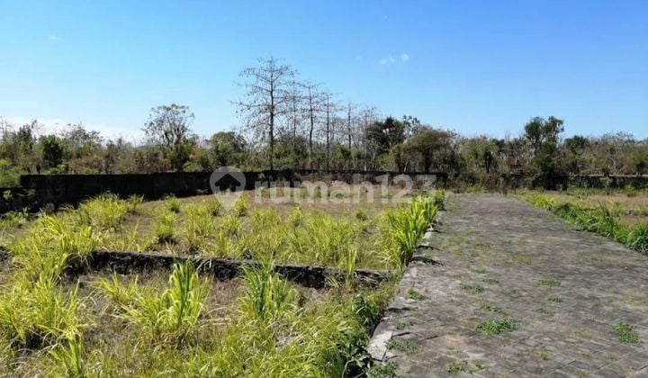 Land For Sale Balangan Bali - Tourism Zone (Pink), 550 M², Near Balangan Beach