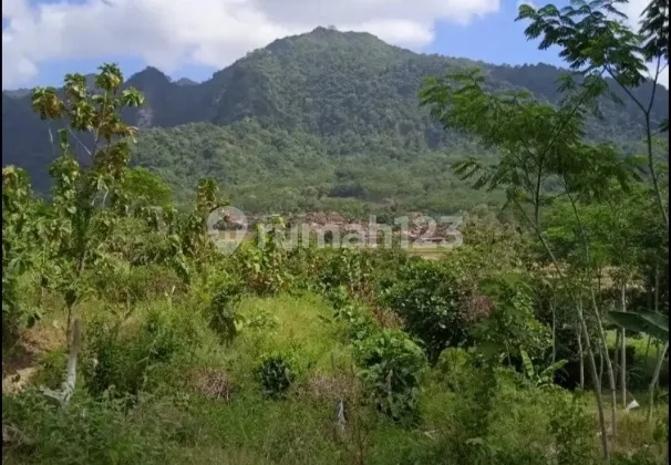 Tanah bukit view sawah laut di jepara jateng cocok buat wisata
