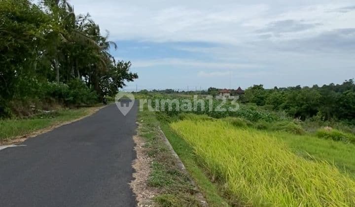 Tanah Istimewa Tabanan