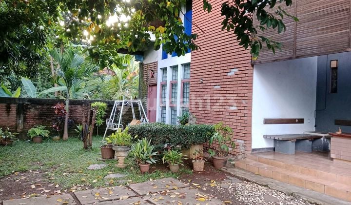 Rumah Asri Dan Luas Di Gajahmungkur Rumah Asri Dan Luas Di Gajahmungkur