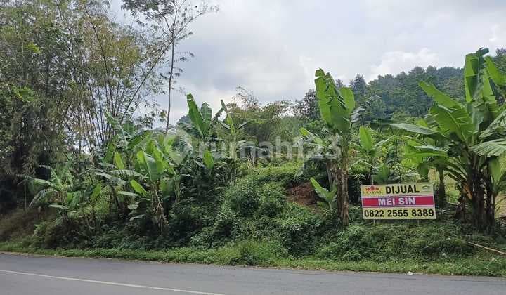 For Sale, Spacious Land Located in Kalirejo Ungaran