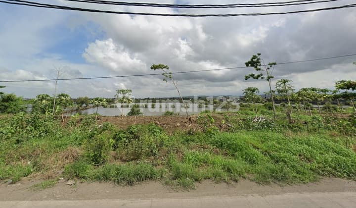 Dijual Tanah Basah Luas Lokasi Jl. Pelabuhan Kaliwungu Kendal