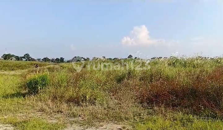 Dijual Tanah Luas Lokasi Strategis di Kawasan Marina Semarang