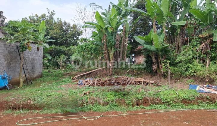 Tanah Sentro Kaligading Boja Kendal