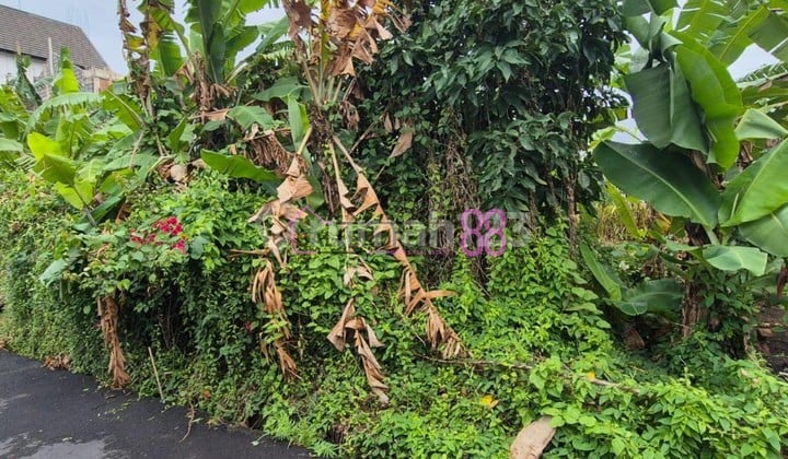 For Sale: Yellow Zone Land, Sedap Malam, Sanur, Land Area 150 Sqm