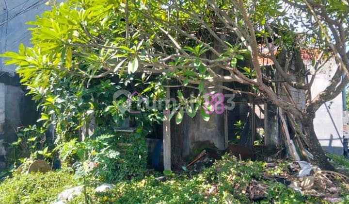 Jual Tanah Hook Buduk Bernasi Mengwi LT 103M2