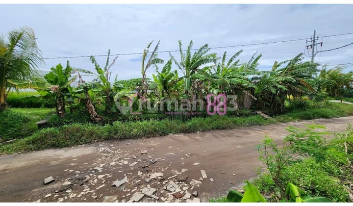 Land Lease Near Seseh Beach 1000 M2