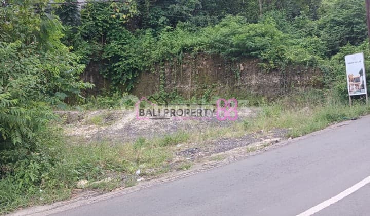 Jual Tanah Strategis Ungasan Bali LT 300M2
