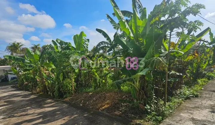 Sell Land in Tumbak Bayuh North Near Canggu Land Area 300 M2
