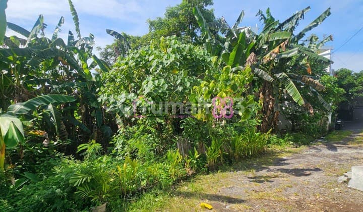 Jual Tanah Tegal Cupek Umalas Kerobokan LT 307M2