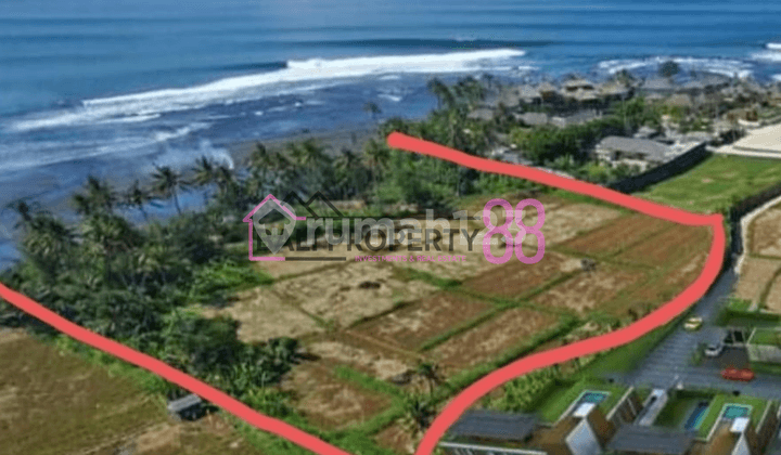 Dijual Tanah Premium Eksklusif dengan Lahan Depan Pantai di Pabean Beach, Ketewel, Gianyar 1.4 Hektar