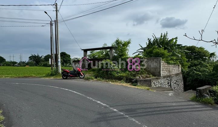 Jual Tanah Premium View Sawah Sukawati LT 645 M2