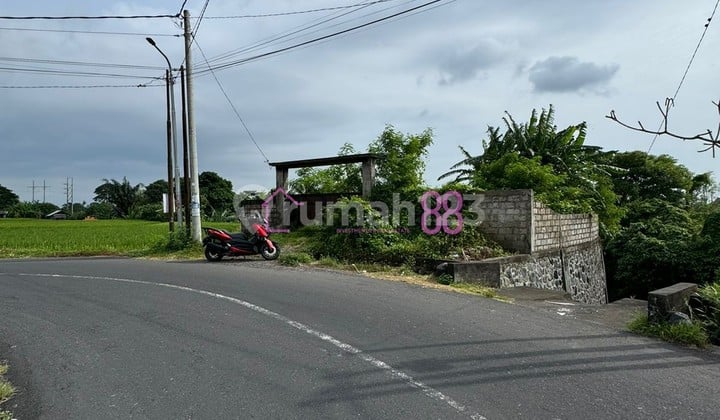 Jual Tanah Premium View Sawah Sukawati LT 645 M2