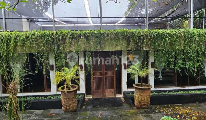 Dijual Murah Dibawah NJOP 2026 Rumah Tua Hitung Tanah di Kemang