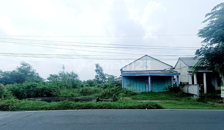 Cheap Land Zero Jl Raya Balongpanggang Gresik Near Market Suitable for Warehouse, Shop or Small Factory