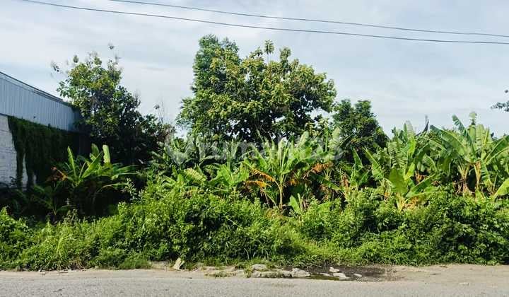 Tanah Strategis Nol Jl Raya Ringroad Mojoagung Cocok Utk Ruko & Gudang