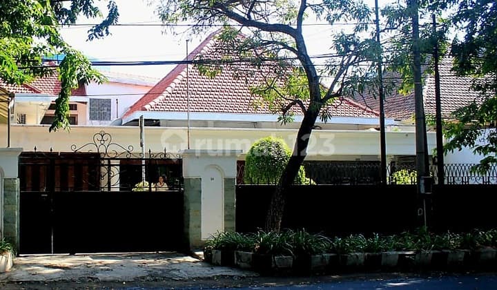 Stok Langka Jl Raya Dr Sutomo (Polisi Istimewa) Murah Cocok Utk Kafe dan Resto