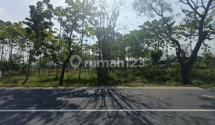 Tanah Industri Murah Dg Ijjn Lengkap di Raya Mantup Lamongan Standard Umr Rendah