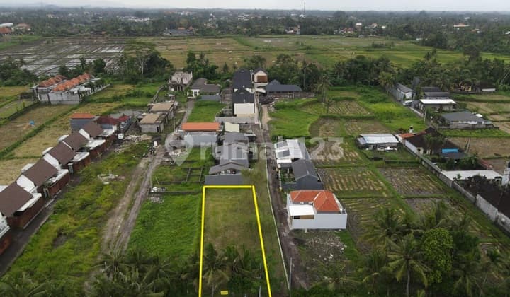 Tanah Kavling Villa Murah Siap Bangun di Lodtunduh Ubud Bali