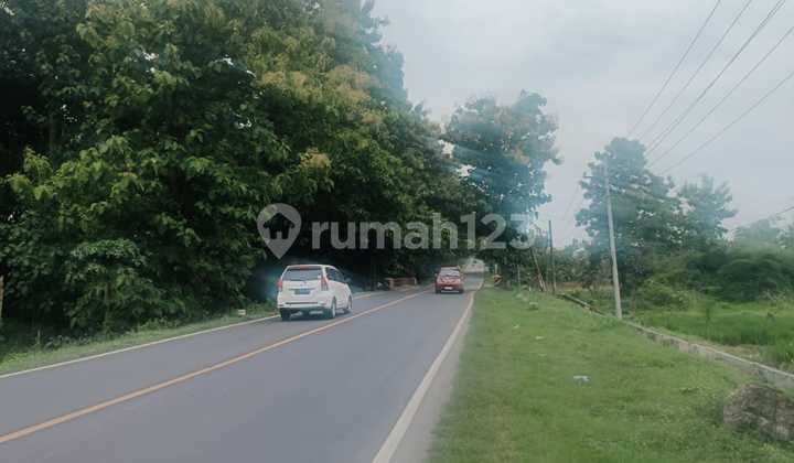 Cheap Industrial Land Raya Daendels Near Manyar Gresik Port