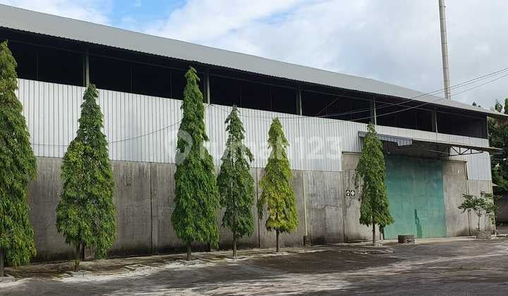 Pabrik Gudang Strategis Raya Daendels Paciran Lamongan Dkt Pelabuhan