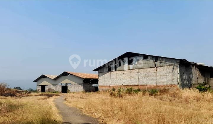 Cheap Warehouse Factory Below Appraisal Price in Purwosari Pasuruan