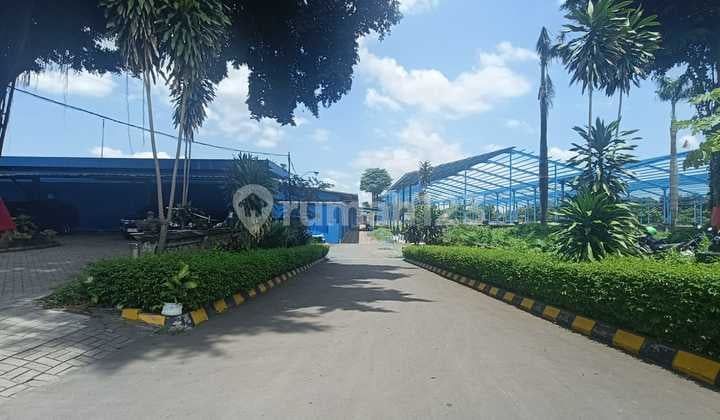 Stok Langka Gudang Baru Gress Ukuran Besar di Ngoro Industri