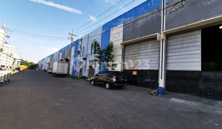 Ready-to-Live Warehouse Tambak Sawah Waru Near Juanda Ready-to-Live Warehouse Tambak Sawah Waru Near Juanda