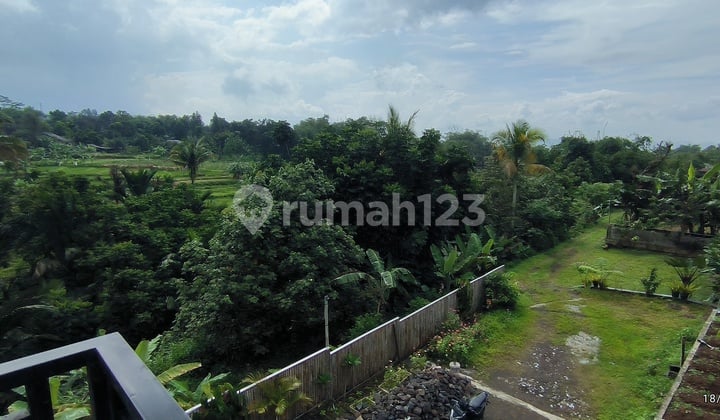 Tanah 6000 Shm Sukajadi Tamansari Bogor Jawa Barat