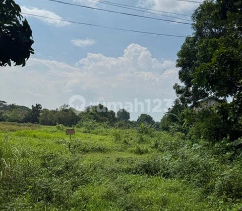 Tanah dijual diPasuruan, legok, gempol jawa timur