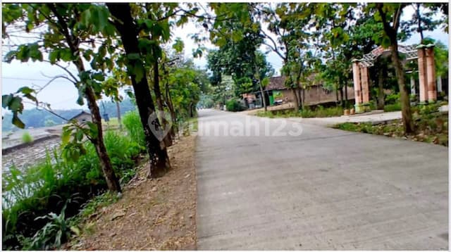 Land for sale in Ngawi.