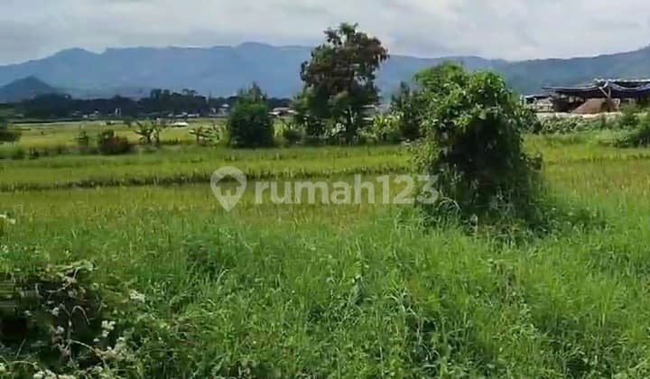 Tanah Komersil Mainroad Jalan Gading Tutika Soreang Bandung