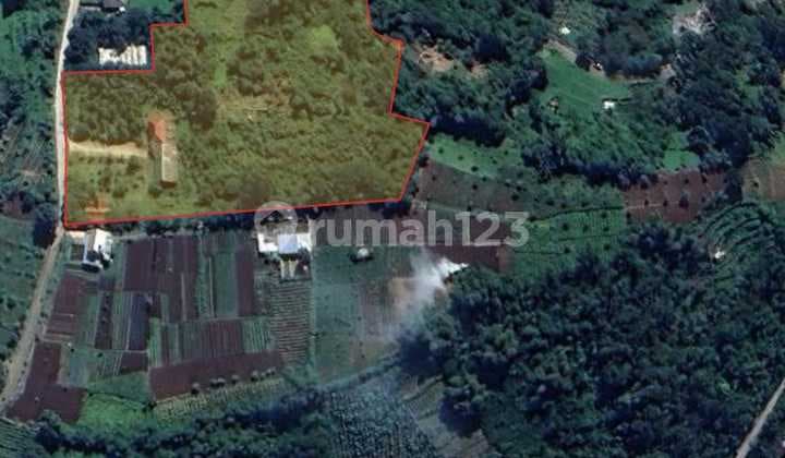 Tanah Kebun Bonus Bangunan di Gambung Pasir Jambu Ciwidey
