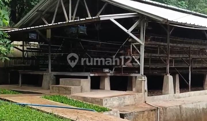 Tanah Dengan Ternak Ayam Petelur Dan Kolam Pancing Murah Di Campaka Purwakarta