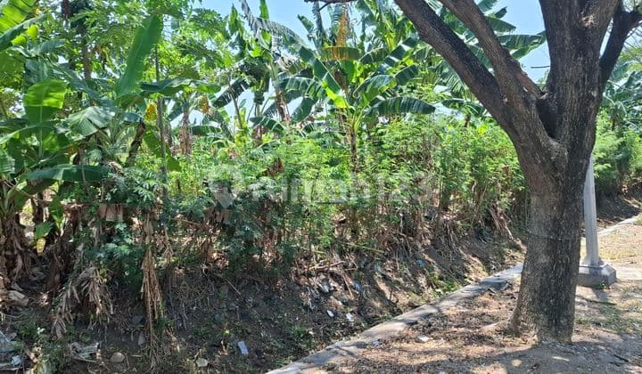 Lahan Luas MurahTengah Kota Siap Bangun