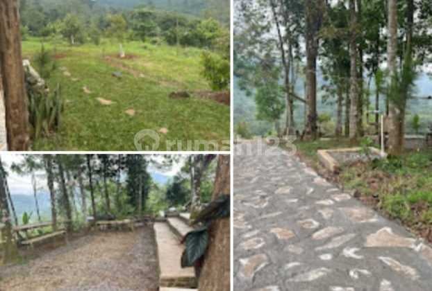 Agricultural land in a green zone, also suitable for tourism objects.