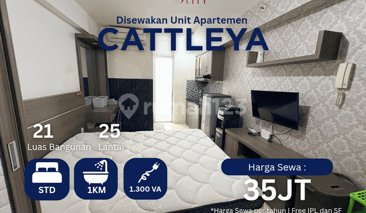 Sewa Apartemen Type Studio Atas Mall Apartemen Bassura City