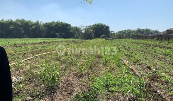 Tanah Industri, Ngoro Mojokerto, Murah