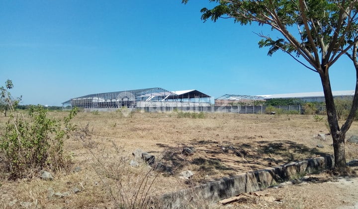 Tanah Kavling Gudang Industri di Pattene 20000 m²